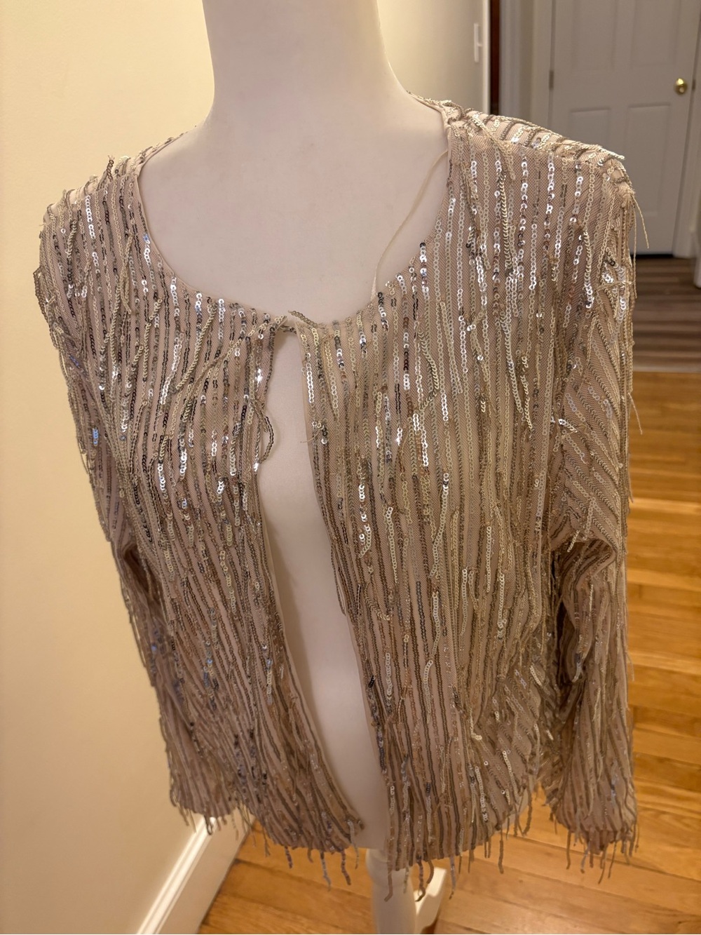 Beautiful Beige Sequin Fringe Open Jacket